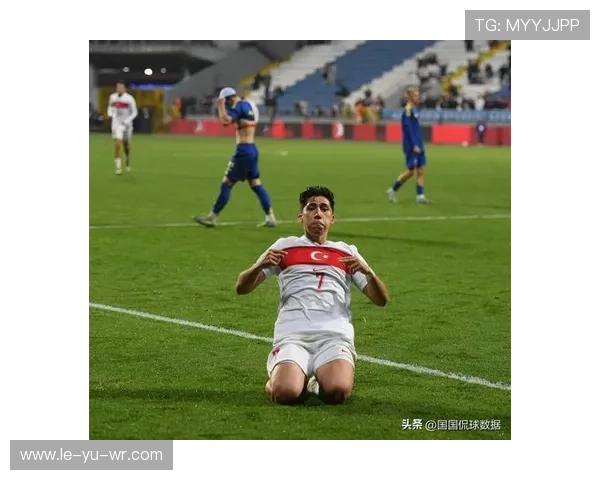 黑马突围:土耳其勇夺02世界杯季军