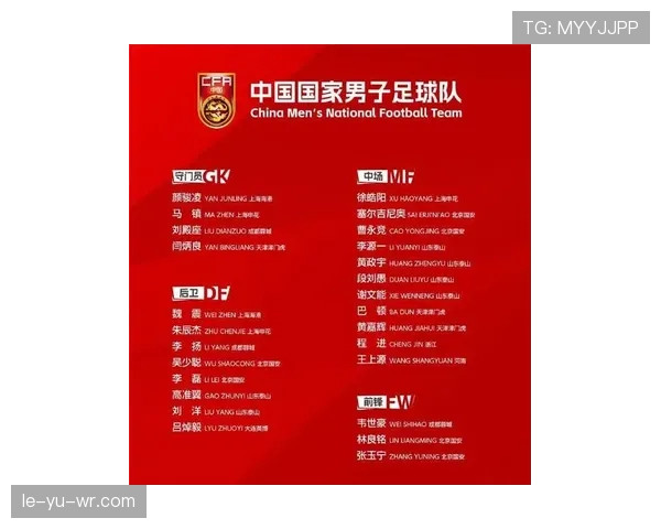 国家队新名单出炉，新星闪耀引球迷热议