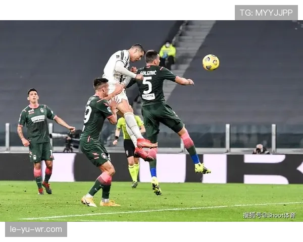 维罗纳足球表现稳健，助力城市经济复苏新趋势